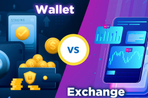 wallet交易所安全吗？wallet交易所安全性分析